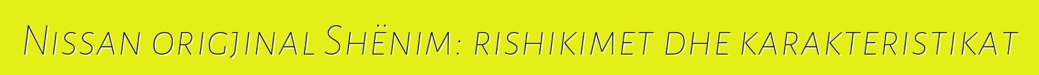 Nissan origjinal Shënim: rishikimet dhe karakteristikat