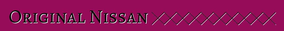 Original Nissan 注意事項：評論和特性