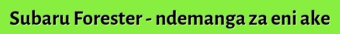 Subaru Forester - ndemanga za eni ake