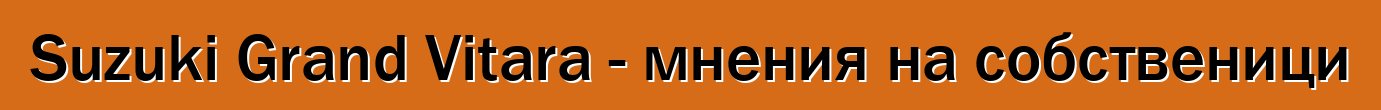 Suzuki Grand Vitara - мнения на собственици
