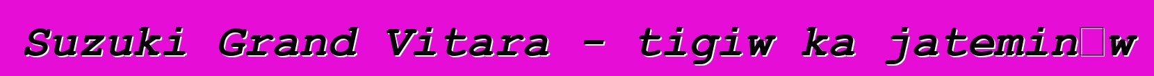 Suzuki Grand Vitara - tigiw ka jateminɛw