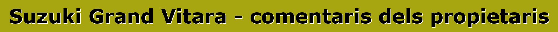 Suzuki Grand Vitara - comentaris dels propietaris