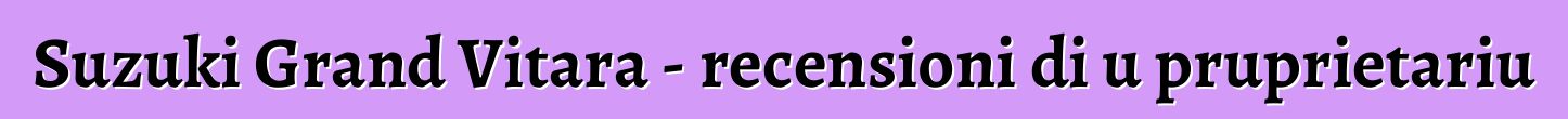 Suzuki Grand Vitara - recensioni di u pruprietariu