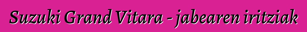 Suzuki Grand Vitara - jabearen iritziak
