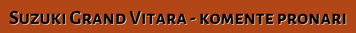 Suzuki Grand Vitara - komente pronari