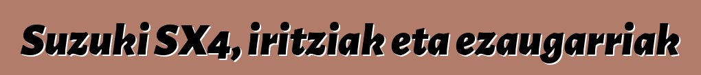 Suzuki SX4, iritziak eta ezaugarriak