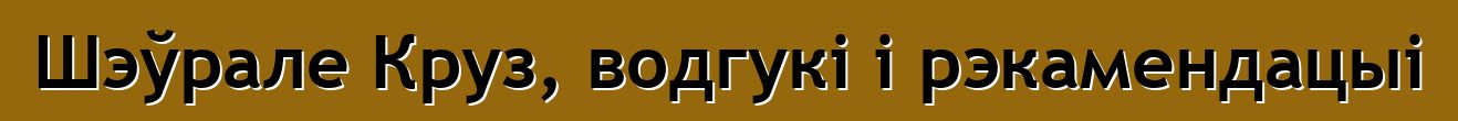 Шэўрале Круз, водгукі і рэкамендацыі