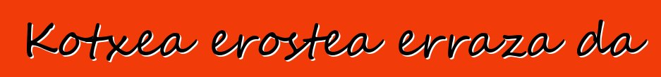 Kotxea erostea erraza da
