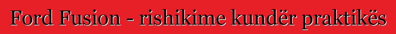 Ford Fusion - rishikime kundër praktikës