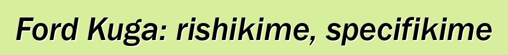 Ford Kuga: rishikime, specifikime
