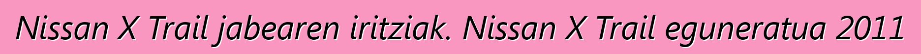 Nissan X Trail jabearen iritziak. Nissan X Trail eguneratua 2011