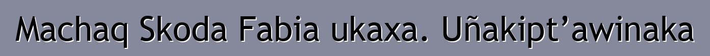 Machaq Skoda Fabia ukaxa. Uñakipt’awinaka