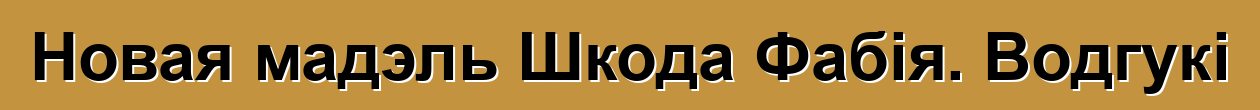 Новая мадэль Шкода Фабія. Водгукі