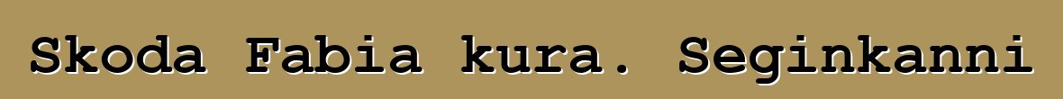 Skoda Fabia kura. Seginkanni
