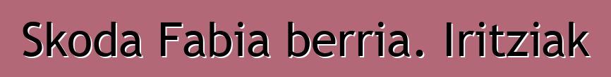 Skoda Fabia berria. Iritziak