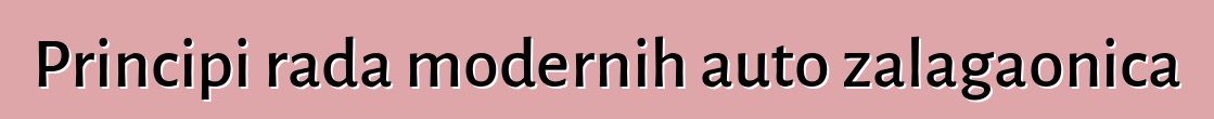Principi rada modernih auto zalagaonica