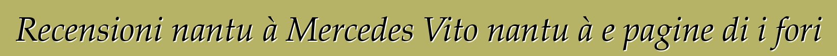 Recensioni nantu à Mercedes Vito nantu à e pagine di i fori
