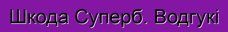 Шкода Суперб. Водгукі