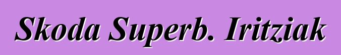 Skoda Superb. Iritziak