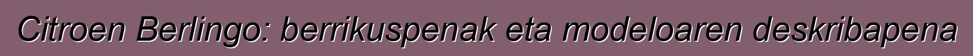 Citroen Berlingo: berrikuspenak eta modeloaren deskribapena