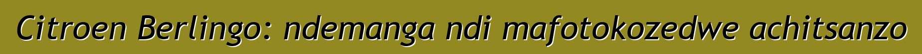 Citroen Berlingo: ndemanga ndi mafotokozedwe achitsanzo