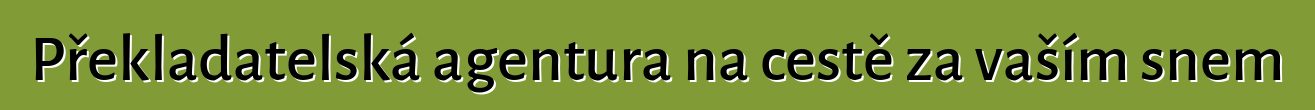 Překladatelská agentura na cestě za vaším snem
