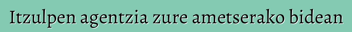 Itzulpen agentzia zure ametserako bidean