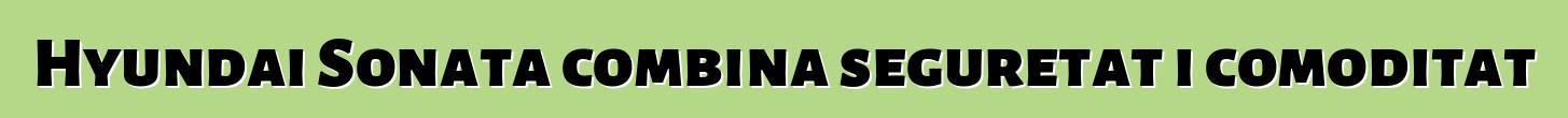 Hyundai Sonata combina seguretat i comoditat