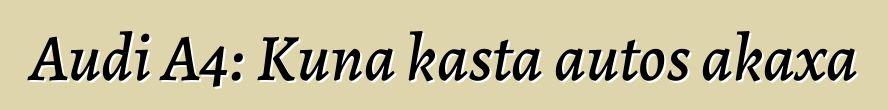 Audi A4: Kuna kasta autos akaxa