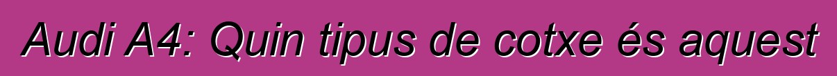 Audi A4: Quin tipus de cotxe és aquest