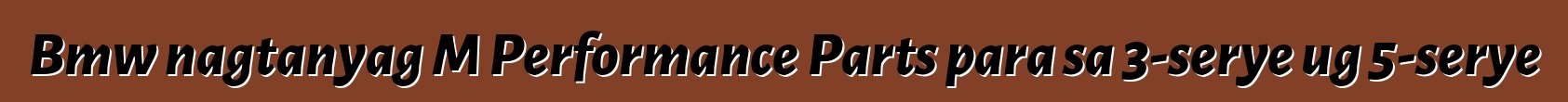 Bmw nagtanyag M Performance Parts para sa 3-serye ug 5-serye