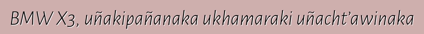 BMW X3, uñakipañanaka ukhamaraki uñacht’awinaka