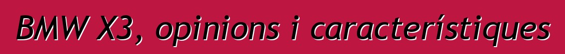 BMW X3, opinions i característiques