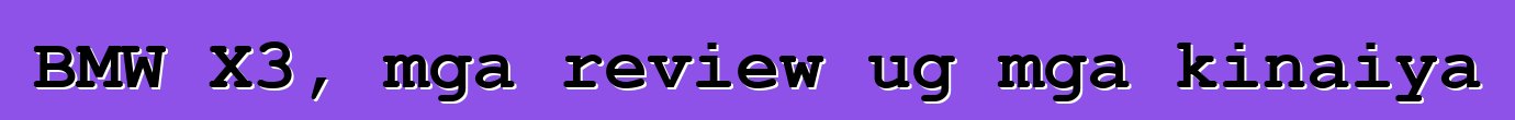 BMW X3, mga review ug mga kinaiya