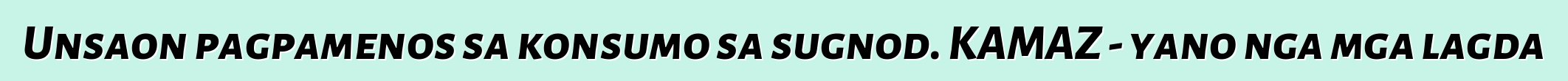 Unsaon pagpamenos sa konsumo sa sugnod. KAMAZ - yano nga mga lagda
