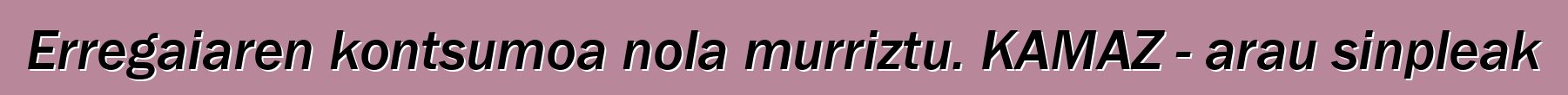 Erregaiaren kontsumoa nola murriztu. KAMAZ - arau sinpleak