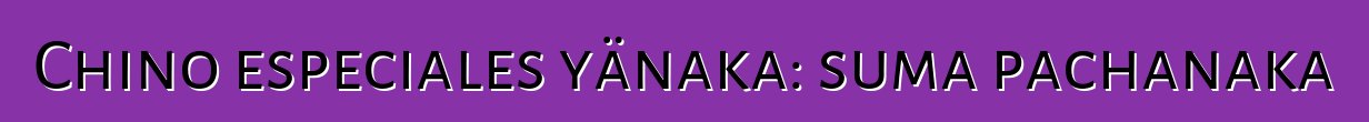 Chino especiales yänaka: suma pachanaka