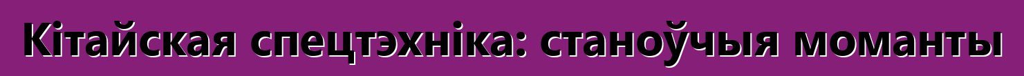 Кітайская спецтэхніка: станоўчыя моманты