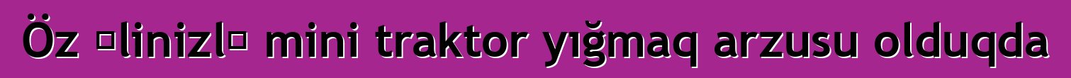 Öz əlinizlə mini traktor yığmaq arzusu olduqda
