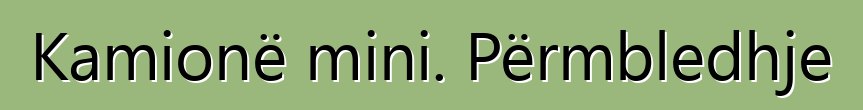 Kamionë mini. Përmbledhje