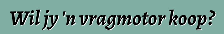 Wil jy 'n vragmotor koop?