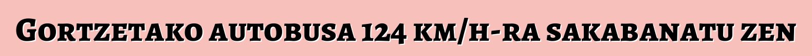 Gortzetako autobusa 124 km/h-ra sakabanatu zen