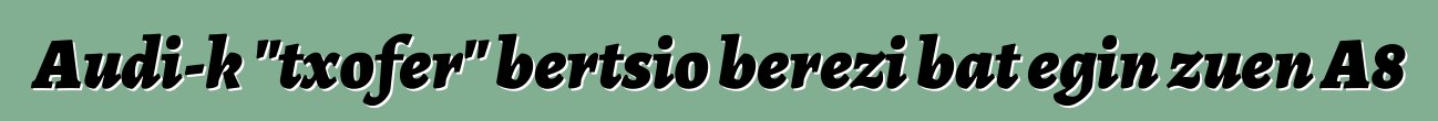 Audi-k "txofer" bertsio berezi bat egin zuen A8