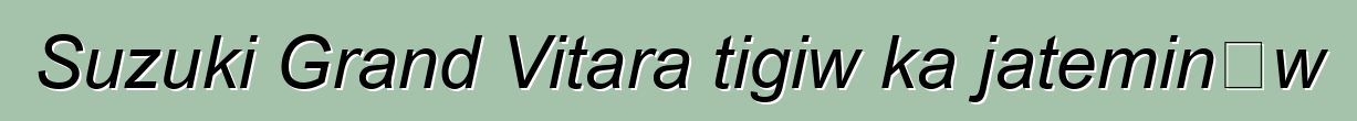Suzuki Grand Vitara tigiw ka jateminɛw