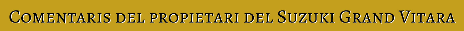 Comentaris del propietari del Suzuki Grand Vitara