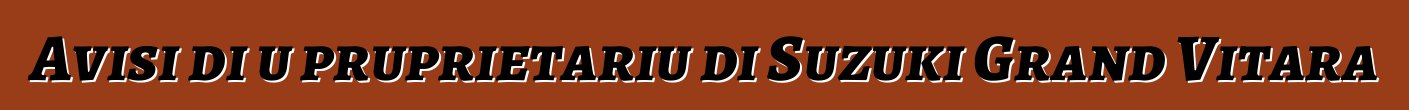 Avisi di u pruprietariu di Suzuki Grand Vitara