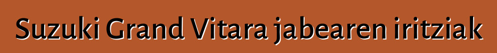 Suzuki Grand Vitara jabearen iritziak