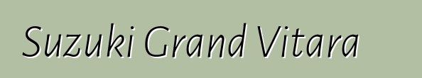 Suzuki Grand Vitara 車主評論