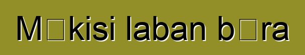 Mɛkisi laban bɔra