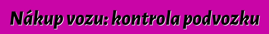 Nákup vozu: kontrola podvozku